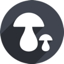 蘑菇加速器 Logo